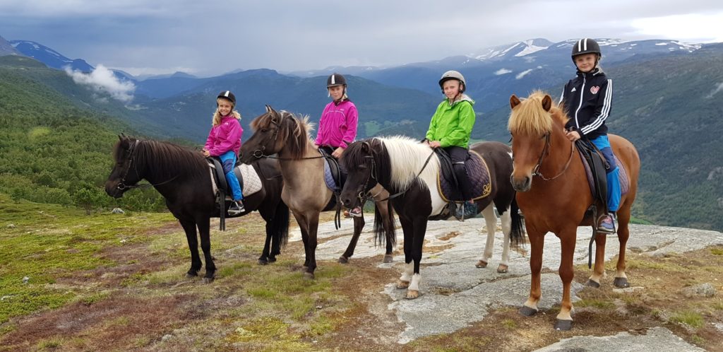 4 jenter på islandshest