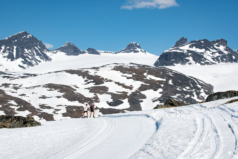 Langrenn Sognefjellet